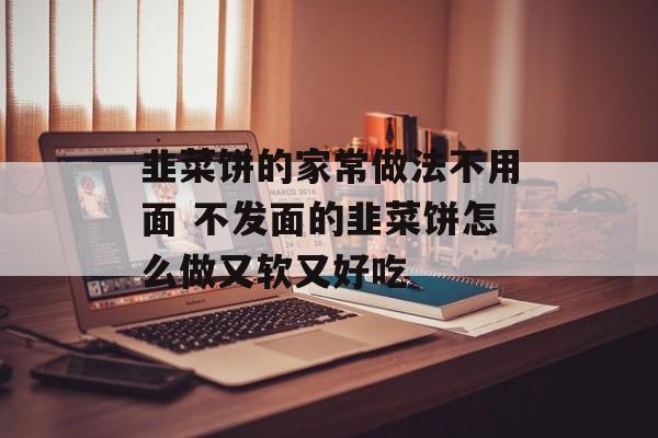 韭菜饼的家常做法不用面 不发面的韭菜饼怎么做又软又好吃-第1张图片-