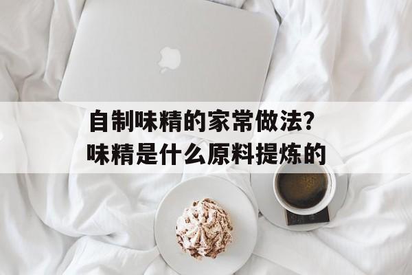 自制味精的家常做法？味精是什么原料提炼的-第1张图片-