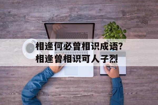相逢何必曾相识成语？相逢曾相识可人子烈-第1张图片-