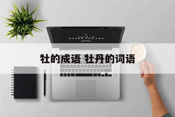 牡的成语 牡丹的词语-第1张图片-