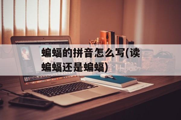 蝙蝠的拼音怎么写(读蝙蝠还是蝙蝠)-第1张图片-
