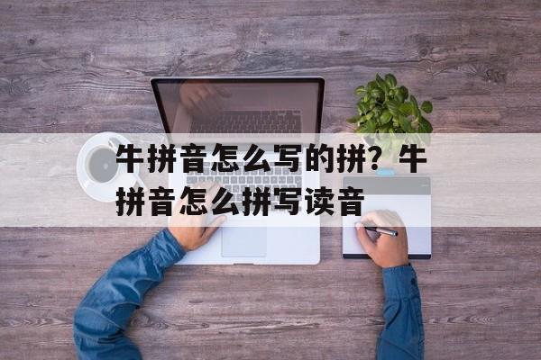 牛拼音怎么写的拼？牛拼音怎么拼写读音-第1张图片-