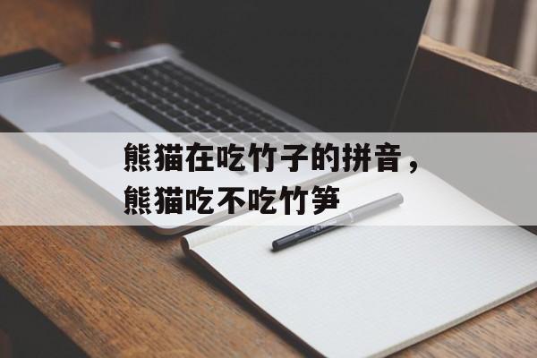 熊猫在吃竹子的拼音，熊猫吃不吃竹笋-第1张图片-