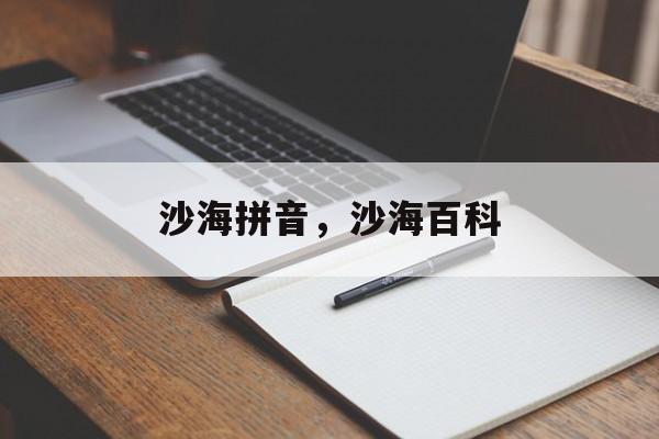沙海拼音，沙海百科-第1张图片-