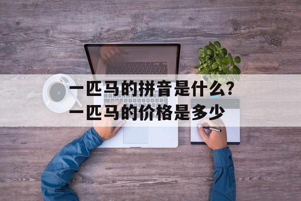 一匹马的拼音是什么？一匹马的价格是多少-第1张图片-