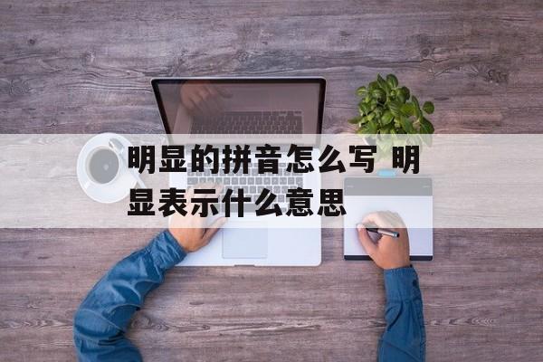明显的拼音怎么写 明显表示什么意思-第1张图片-