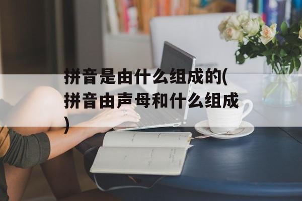 拼音是由什么组成的(拼音由声母和什么组成)-第1张图片-