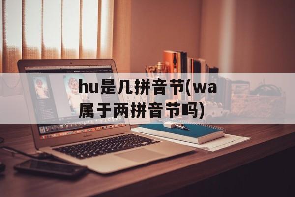 hu是几拼音节(wa属于两拼音节吗)-第1张图片-