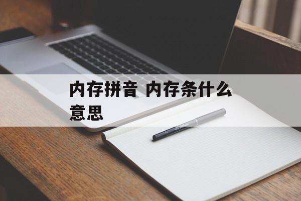 内存拼音 内存条什么意思-第1张图片-