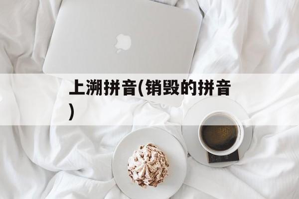 上溯拼音(销毁的拼音)-第1张图片-