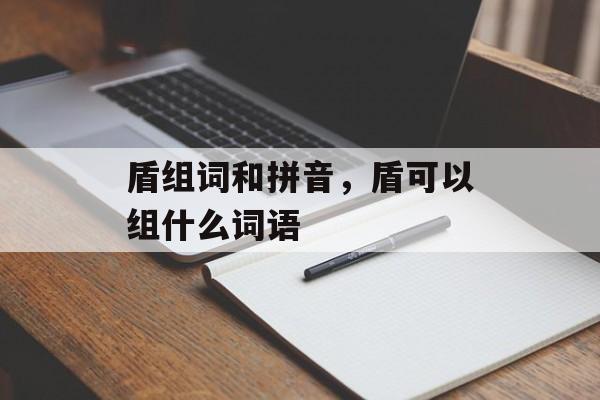 盾组词和拼音，盾可以组什么词语-第1张图片-