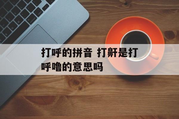 打呼的拼音 打鼾是打呼噜的意思吗-第1张图片-