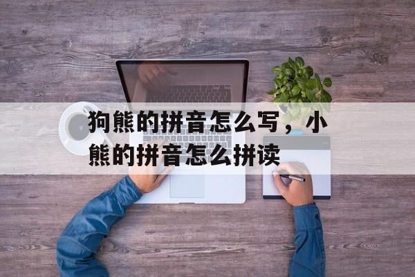 狗熊的拼音怎么写，小熊的拼音怎么拼读-第1张图片-