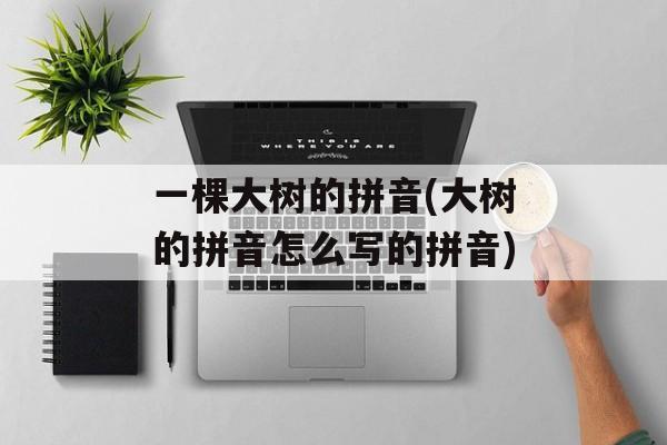 一棵大树的拼音(大树的拼音怎么写的拼音)-第1张图片-
