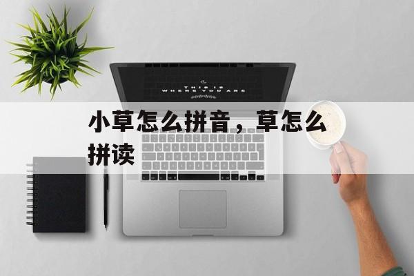 小草怎么拼音，草怎么拼读-第1张图片-