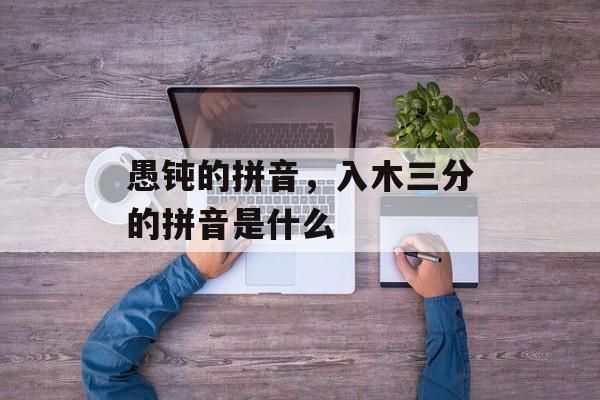 愚钝的拼音，入木三分的拼音是什么-第1张图片-