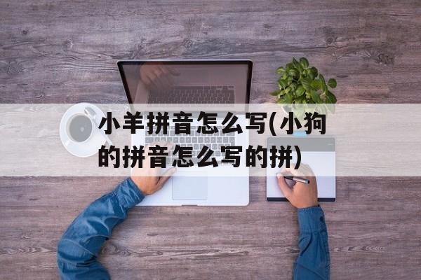 小羊拼音怎么写(小狗的拼音怎么写的拼)-第1张图片-
