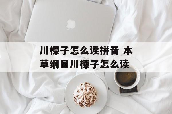 川楝子怎么读拼音 本草纲目川楝子怎么读-第1张图片-