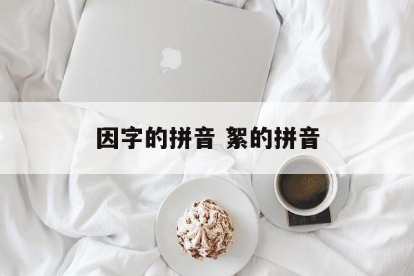 因字的拼音 絮的拼音-第1张图片-