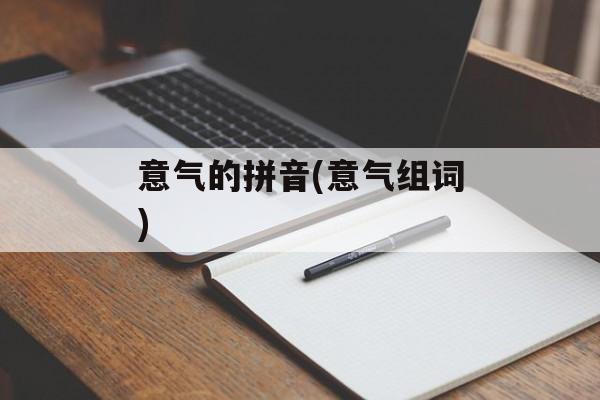 意气的拼音(意气组词)-第1张图片-