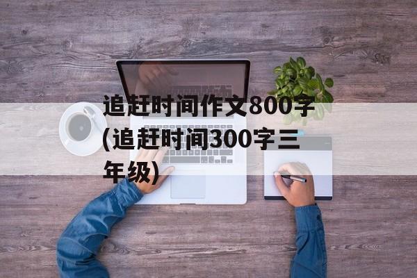 追赶时间作文800字(追赶时间300字三年级)-第1张图片-