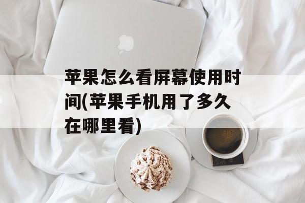 苹果怎么看屏幕使用时间(苹果手机用了多久在哪里看)-第1张图片-