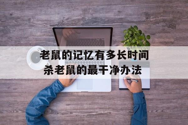老鼠的记忆有多长时间 杀老鼠的最干净办法-第1张图片-