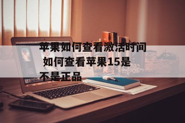 苹果如何查看激活时间 如何查看苹果15是不是正品-第1张图片-