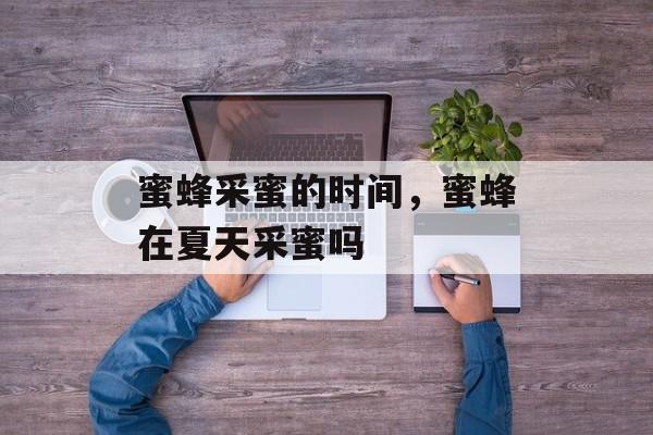 蜜蜂采蜜的时间，蜜蜂在夏天采蜜吗-第1张图片-