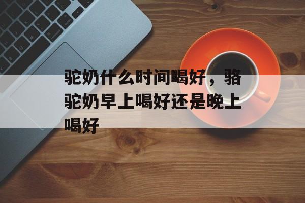 驼奶什么时间喝好，骆驼奶早上喝好还是晚上喝好-第1张图片-