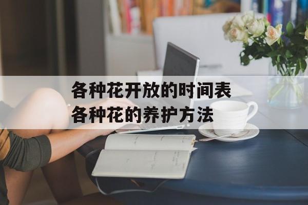 各种花开放的时间表 各种花的养护方法-第1张图片-