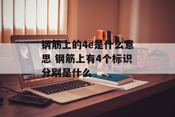 钢筋上的4e是什么意思 钢筋上有4个标识分别是什么-第1张图片-