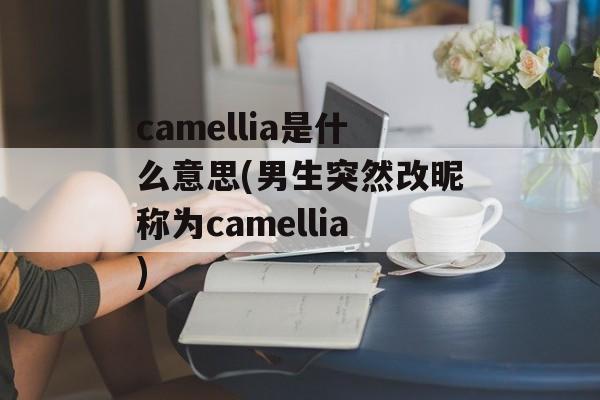 camellia是什么意思(男生突然改昵称为camellia)-第1张图片-