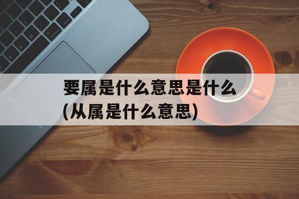 要属是什么意思是什么(从属是什么意思)-第1张图片-
