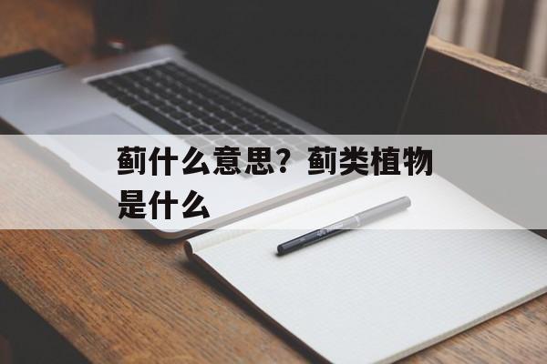蓟什么意思？蓟类植物是什么-第1张图片-