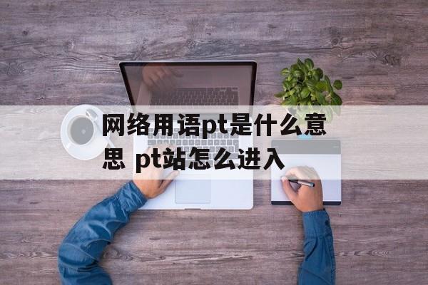 网络用语pt是什么意思 pt站怎么进入-第1张图片-