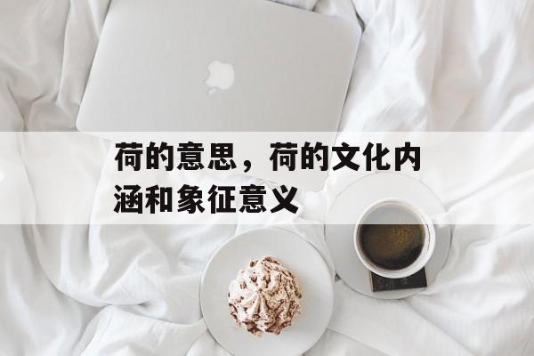 荷的意思，荷的文化内涵和象征意义-第1张图片-