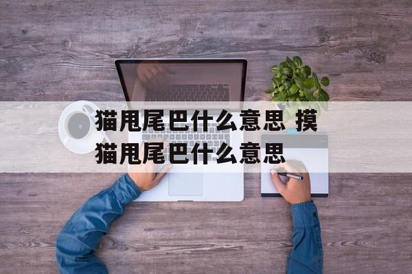 猫甩尾巴什么意思 摸猫甩尾巴什么意思-第1张图片-
