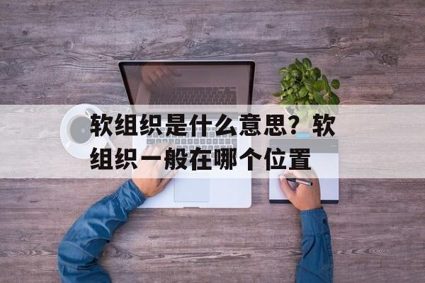软组织是什么意思？软组织一般在哪个位置-第1张图片-