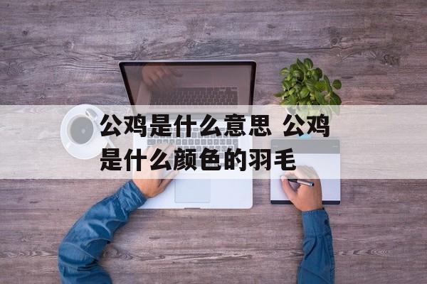 公鸡是什么意思 公鸡是什么颜色的羽毛-第1张图片-