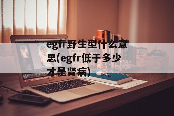 egfr野生型什么意思(egfr低于多少才是肾病)-第1张图片-