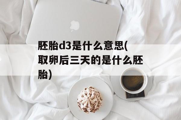 胚胎d3是什么意思(取卵后三天的是什么胚胎)-第1张图片-