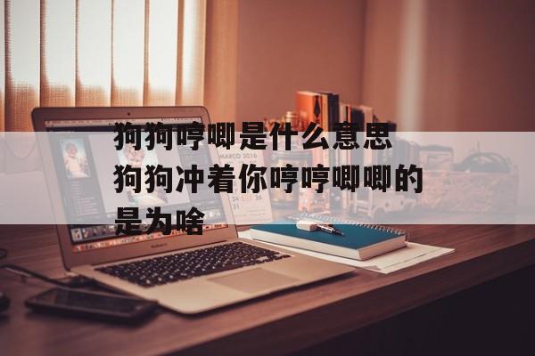 狗狗哼唧是什么意思 狗狗冲着你哼哼唧唧的是为啥-第1张图片-