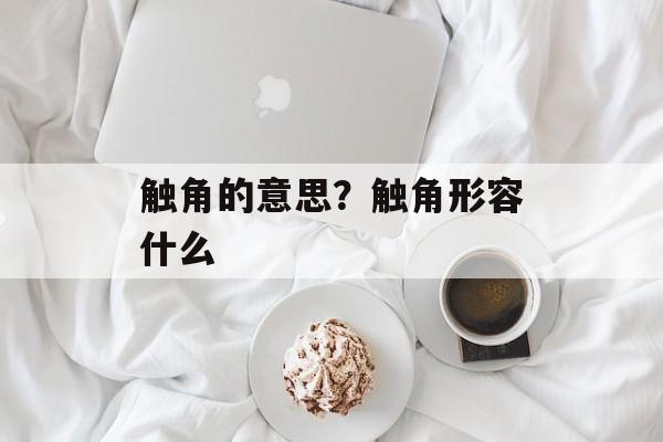 触角的意思？触角形容什么-第1张图片-