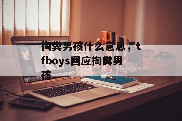 掏粪男孩什么意思，tfboys回应掏粪男孩-第1张图片-