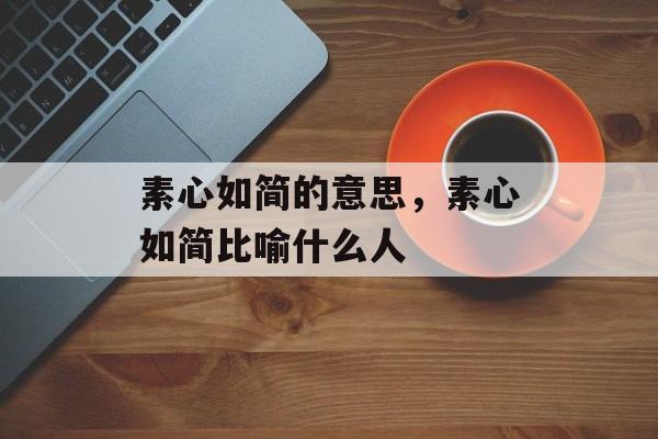 素心如简的意思，素心如简比喻什么人-第1张图片-