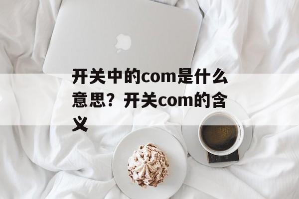 开关中的com是什么意思？开关com的含义-第1张图片-