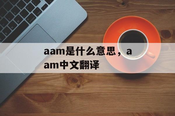 aam是什么意思，aam中文翻译-第1张图片-