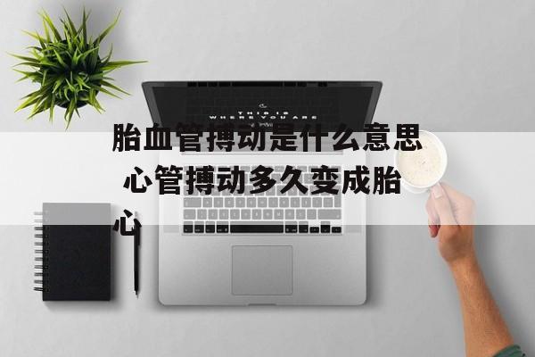 胎血管搏动是什么意思 心管搏动多久变成胎心-第1张图片-