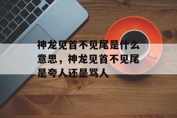 神龙见首不见尾是什么意思，神龙见首不见尾是夸人还是骂人-第1张图片-